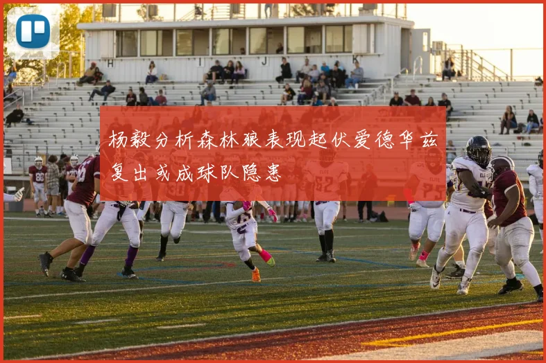杨毅分析森林狼表现起伏爱德华兹复出或成球队隐患