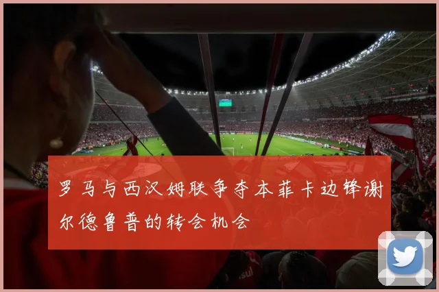 罗马与西汉姆联争夺本菲卡边锋谢尔德鲁普的转会机会