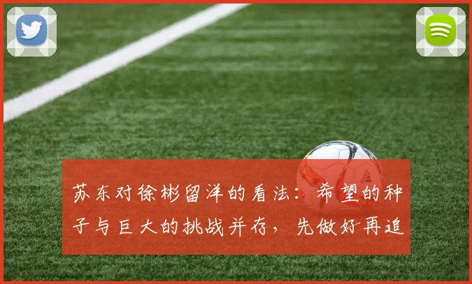 苏东对徐彬留洋的看法：希望的种子与巨大的挑战并存，先做好再追求完美